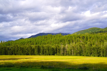 Green Mountains and field