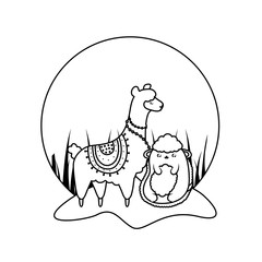 cute sheep with alpaca baby animals kawaii