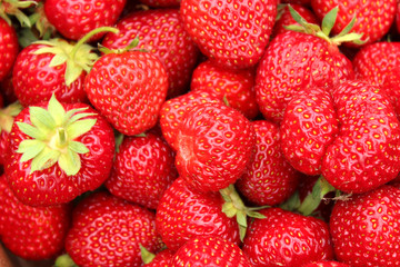 Ripe Red Strawberries