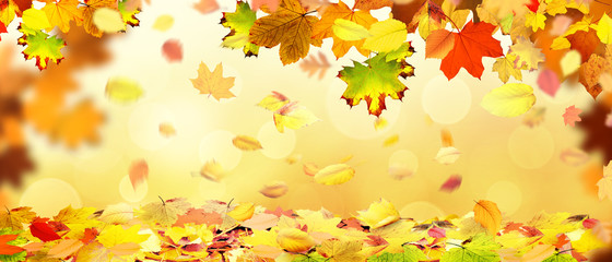 Goldener Herbst