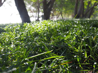 New Caledonia Photography