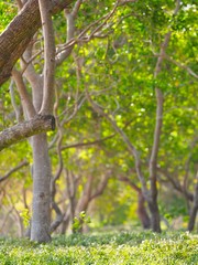 New Caledonia Photography