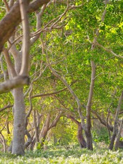 New Caledonia Photography