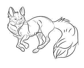 Fox, animl 