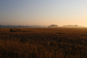 Sunset French Brittany 1