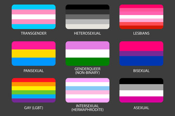 Fototapeta premium Set of LGBT Pride Flags. Gays, lesbians, asexuals, transsexuals, hermaphrodites, transgender, pansexual, heterosexual, intersexual people. Sexual identity pride flags. Official symbols of the communit