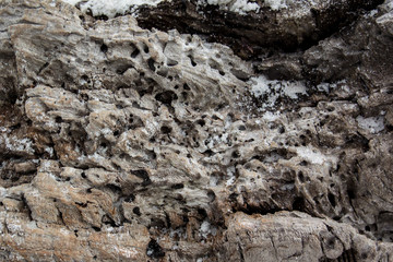 Detail on Driftwood