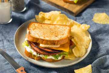 Homemade Fried Bologna Sandwich