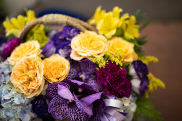 Colorful flowers