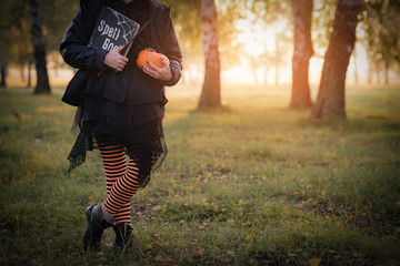Halloween Witch with spell book and Pumpkin in forest