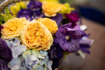 Colorful flowers