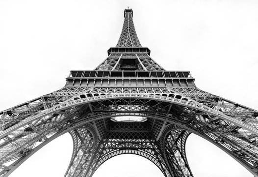 Fototapeta Eiffel Tower on white background