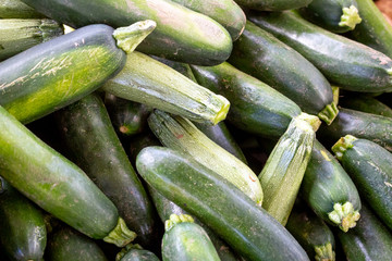 Several zucchini vegetables on display at a local farmers market.