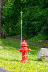 Fototapeta na wymiar HYDRANT on a residential area painted in different bright colors