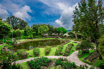 The natural background of the decoration of the park or the ornamental garden, the atmosphere is surrounded by many plants, for people to sit and relax while traveling.