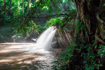 Fototapeta premium Natural blurred background of waterfalls, fast-flowing currents and water droplets from the wind blowing among the rocks and surrounded by big trees, spontaneous beauty