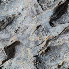 A rock. Seamless stone texture. Macro shot, stack, close-up. The photo.