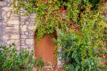 Street view of an old stone house front door in Provence, France, surrounded by pretty climbing vines.