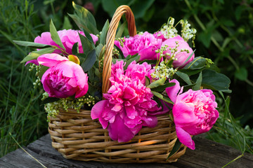 A bouquet of pink peonies in a basket in the garden