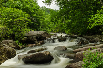 River Flowing in the Georgia Mountains