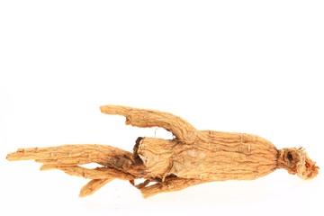 Ginseng on a white background