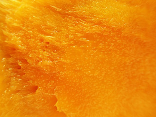 Juicy and fleshy mango fruit