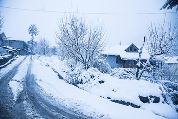 Kashmir, INDIA, January 21, 2019: Snow covered houses and road trees just after the snow fall bad weather concept