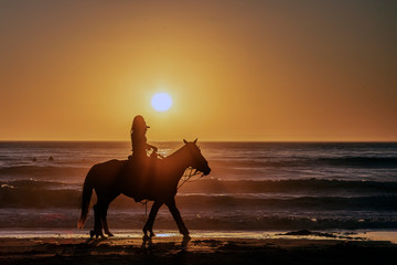 Horses on beach at sunset