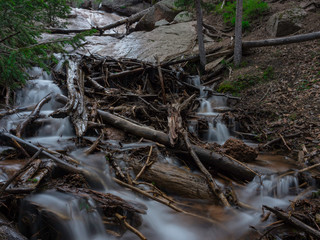 Long Exposoure showing flowing water and fallen wood