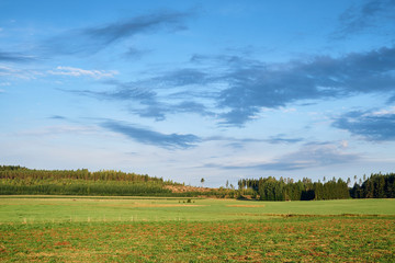 Field in a countryside on a sunny day with clouds in the sky