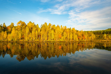 Colorful autumn landscape. Autumn forest in the reflection of the lake