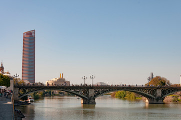 Fototapeta premium View of Seville in Andalusia