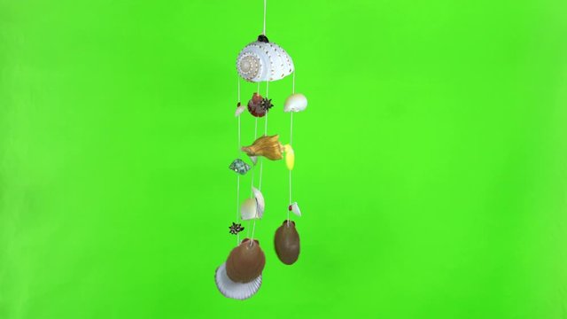 seashell mobile rotating with green screen	