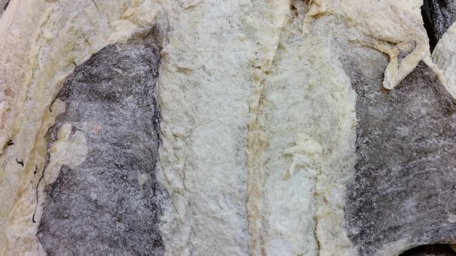 Sun dried and salted scandinavian codfish for sale at local fish market gourmet traditional portuguese cusine cod fish Bacalhau pungent smelling fish method of preservation