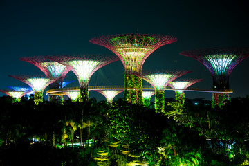 Gardens by the Bay - Singapore