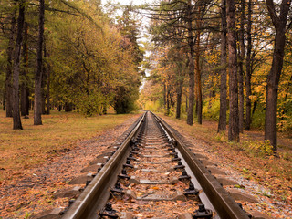 Railway in the forest in autumn, wide angle.