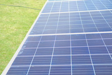 solar cell in farm. photovoltaic module for agriculture.