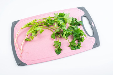 Fresh coriander on white background