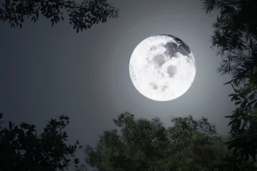 Glasschilderij Volle maan en bomen Middernacht glanzende volle maan voor Halloween achtergrond met silhouet wazige bladeren en donkere hemel. Afbeelding van volle maan ingericht door NASA.