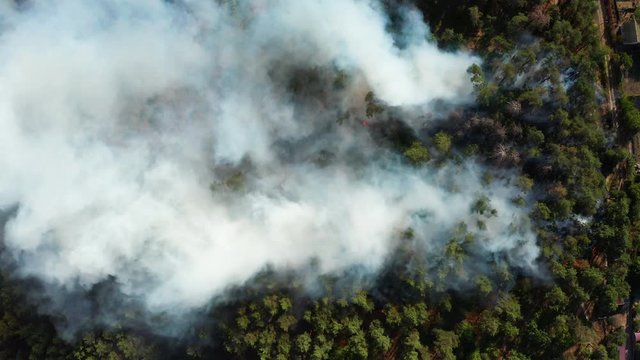 Aerial view of wildfire in forest. Burning forest and huge clouds of smoke.