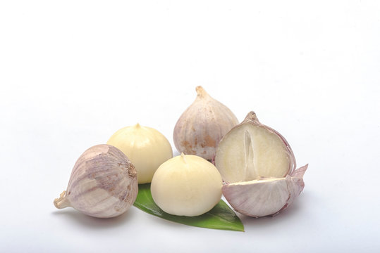 group of Single Bulb form of Elephant Garlics on white background