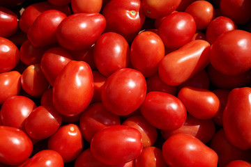 Roma tomatoes on display in an outdoor farmers market in North America.