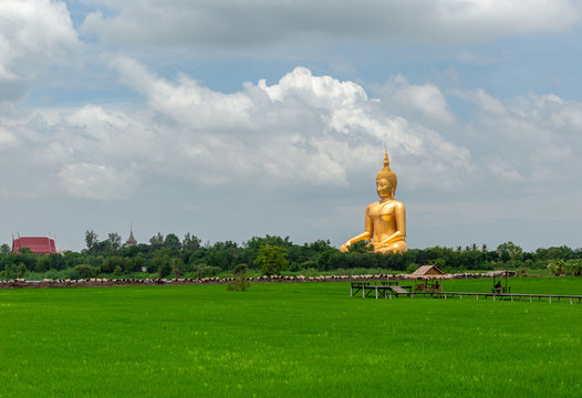 Buddha in the field of Thailand