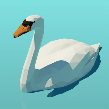 Vector isometric white swan on the water