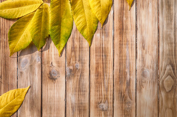 Naklejka na ściany i meble yellow leaves top image on wooden textured background of planks top view
