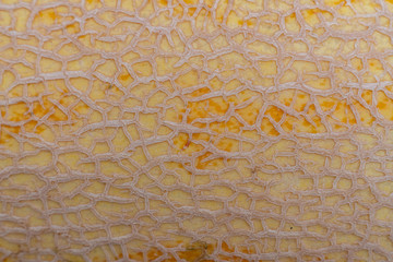 close up white torpedo melon fruit texture background mock-up.