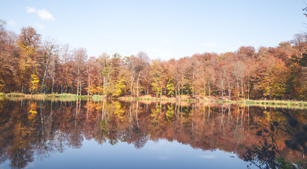Obraz premium Autumn trees with a lake.