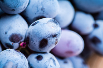 Ripe black grape on the rustic background. Selective focus. Shallow depth of field.