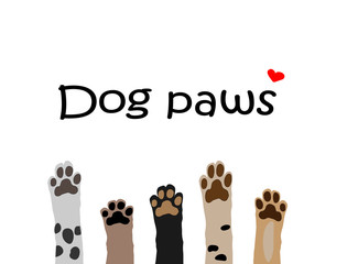 vector illustration of colorful dog paws on white background. Brochure, flyer, postcard. - 292079992