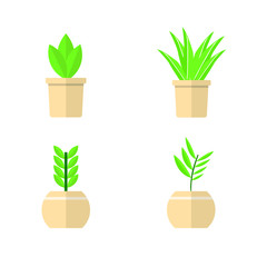 01 Set flower in a potted plants flat style. , isolated.